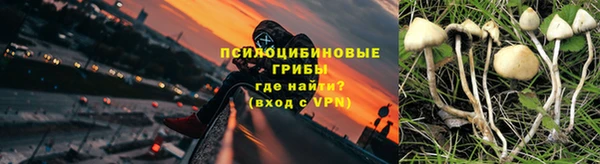 стафф Бородино