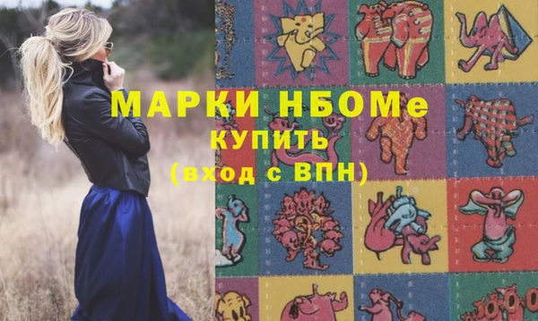 стафф Бородино