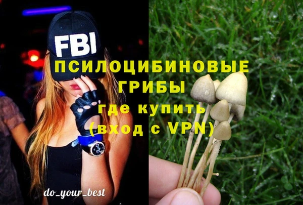 дживик Бугульма