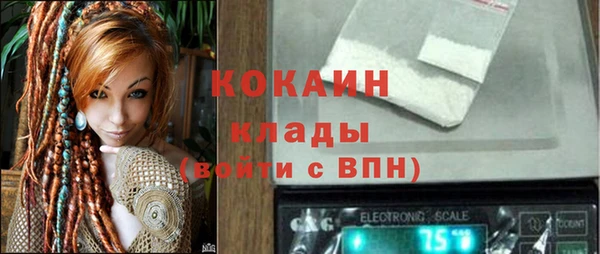 стафф Бородино