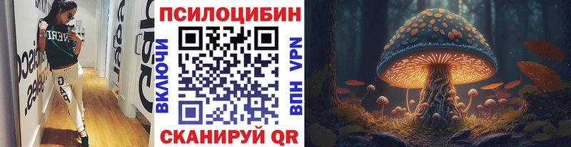 Купить закладки  Мценск  Псилоцибиновые грибы мухоморы 